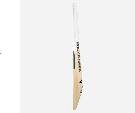Ghost Pro 1.0 EW Adult Cricket Bat
